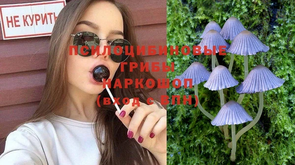 шишки Горнозаводск